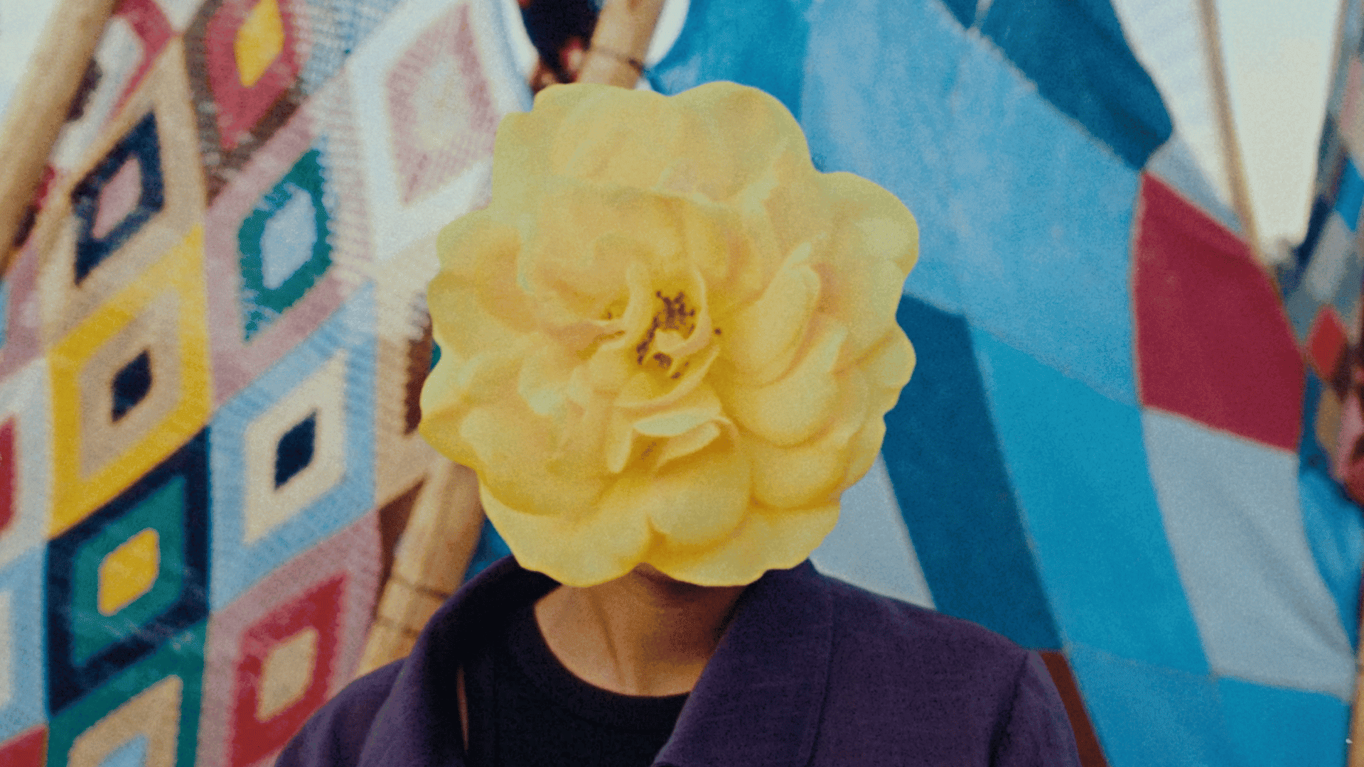 Creative video agency with vibrant visuals and colorful backgrounds.